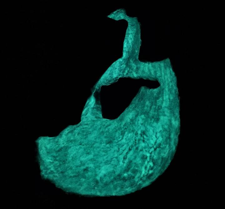 Photoluminescent additive inside Microbond and Ercole.